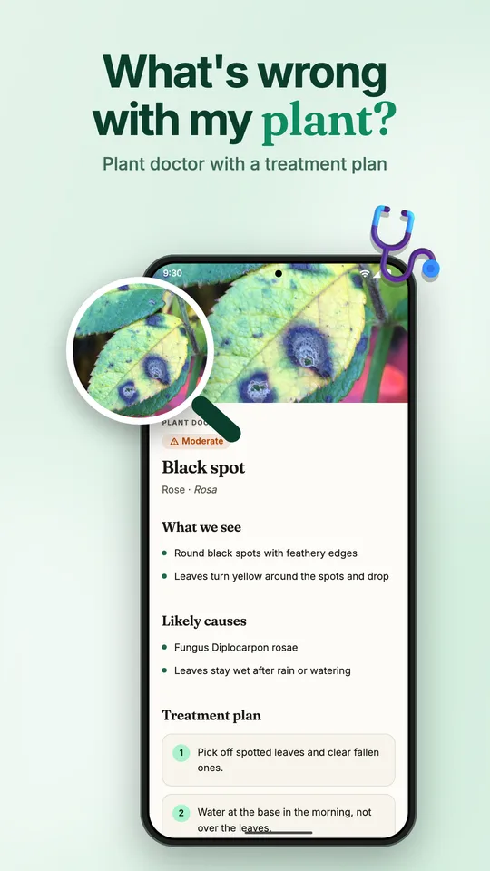 Plant doctor diagnosing a sick leaf