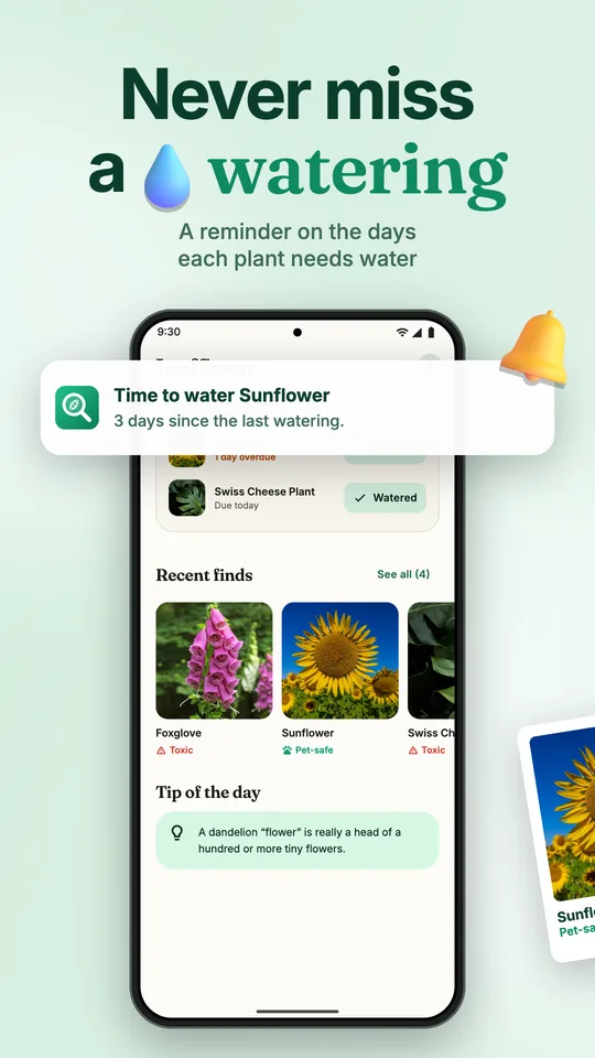 Watering reminders