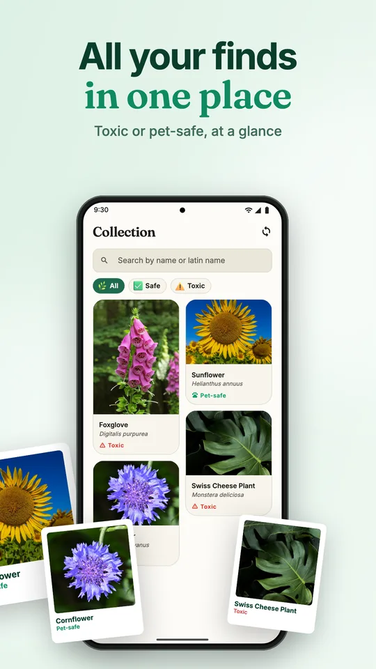 Your plant collection
